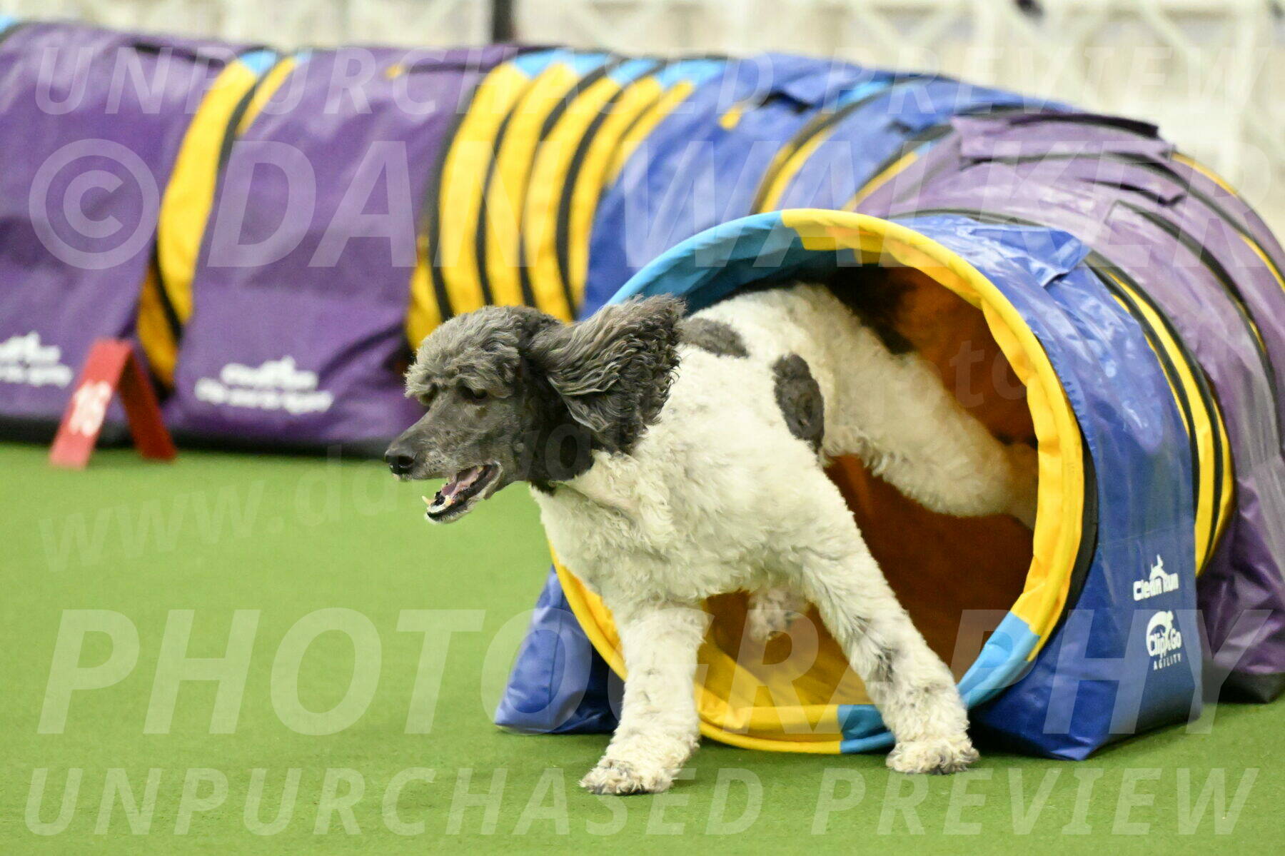 MAS-EX-JWW-20-Inch_3411