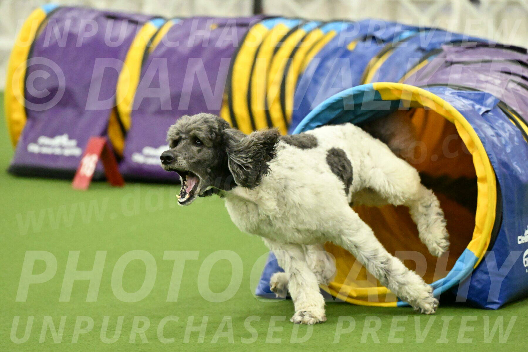 MAS-EX-JWW-20-Inch_3412