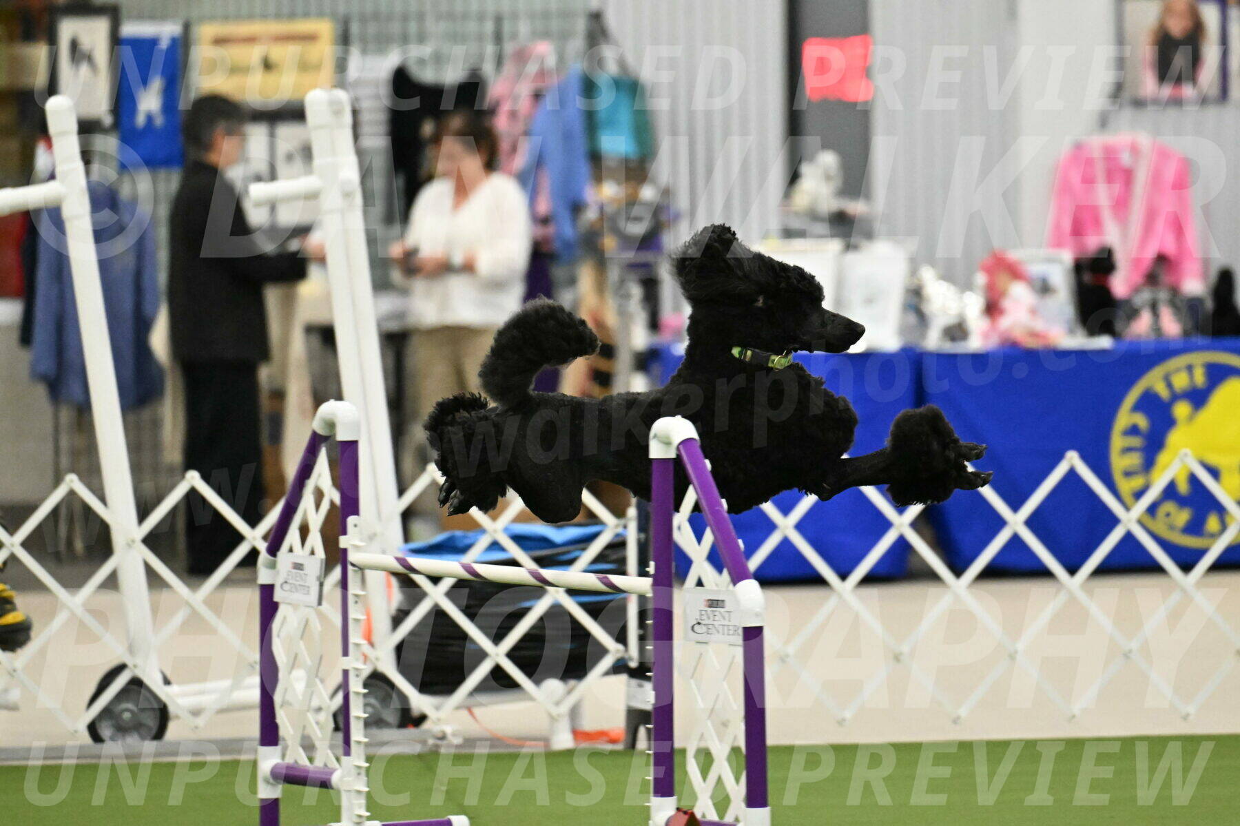 MAS-EX-JWW-24-Inch_3427