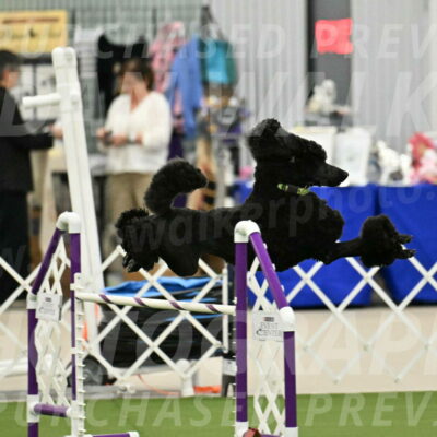 MAS-EX-JWW-24-Inch_3427