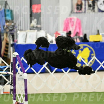 MAS-EX-JWW-24-Inch_3429