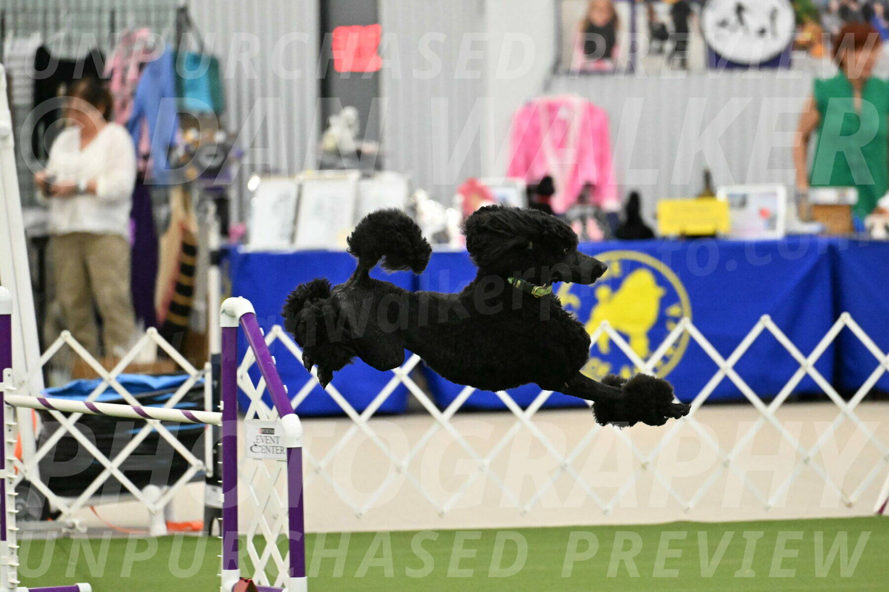 MAS-EX-JWW-24-Inch_3429