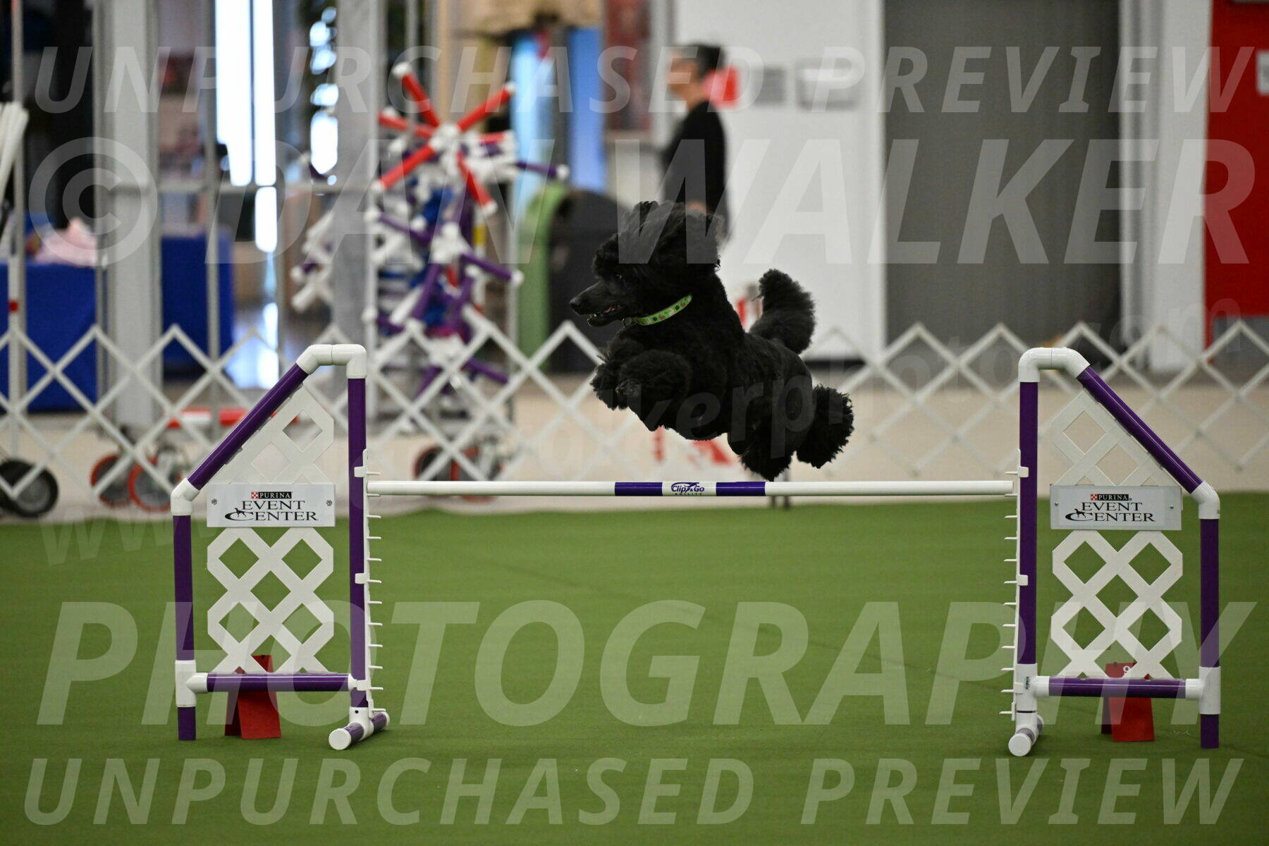 MAS-EX-JWW-24-Inch_3431