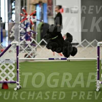 MAS-EX-JWW-24-Inch_3431