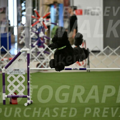 MAS-EX-JWW-24-Inch_3433