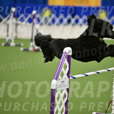 MAS-EX-JWW-24-Inch_3434