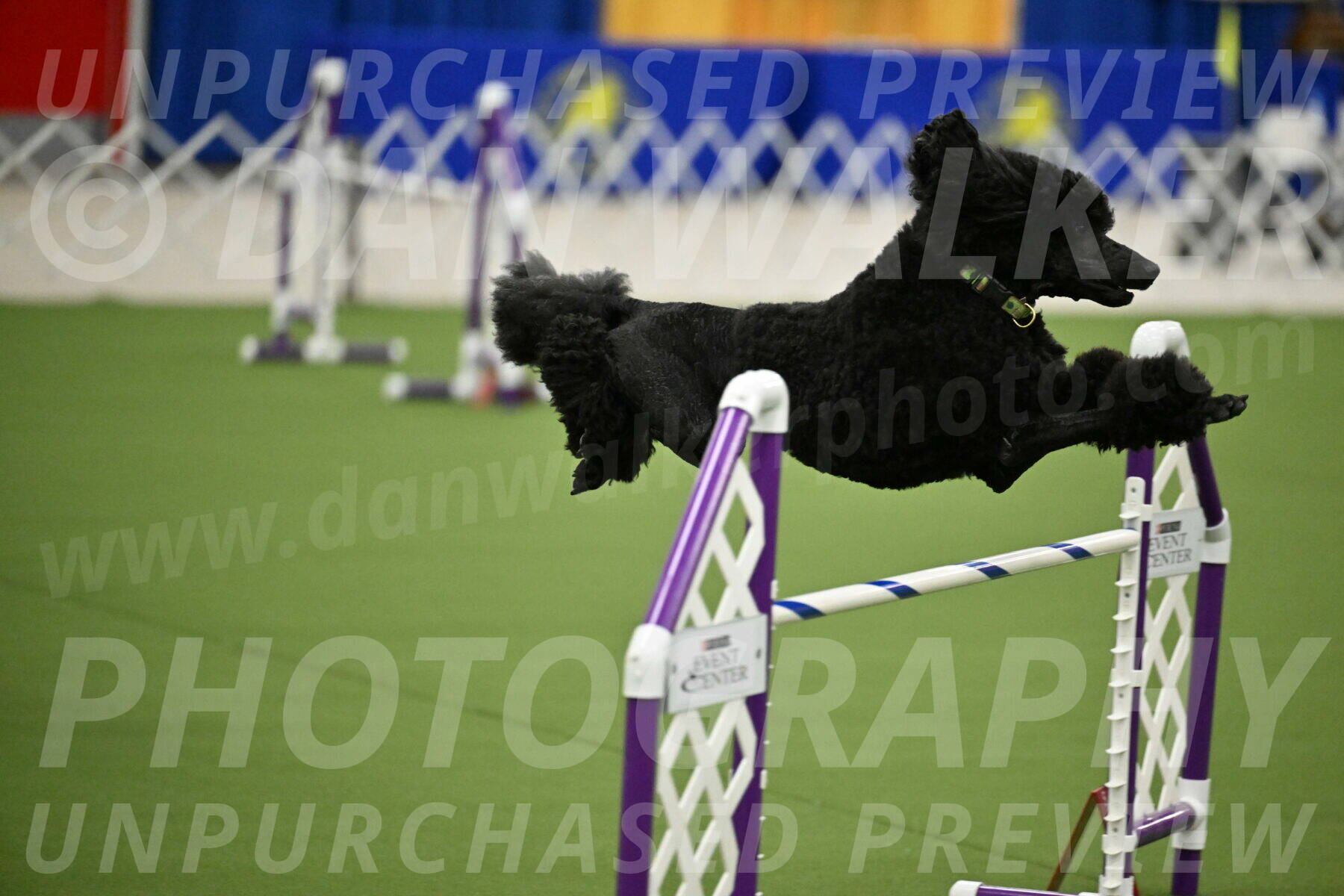 MAS-EX-JWW-24-Inch_3434