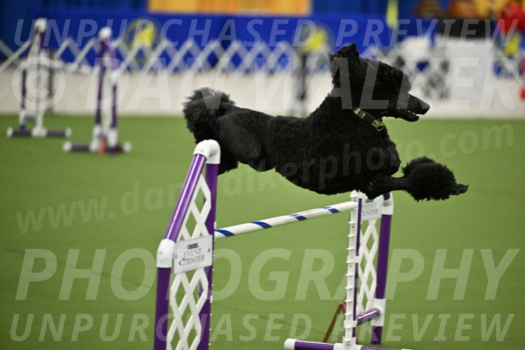 MAS-EX-JWW-24-Inch_3435