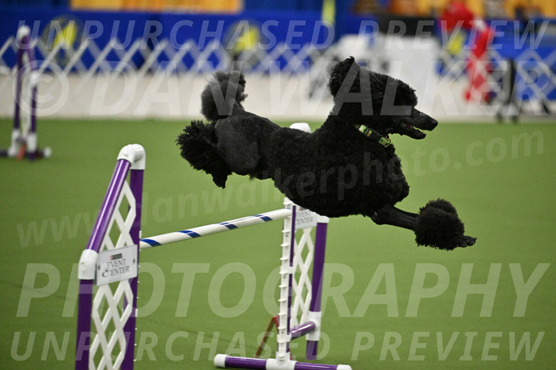 MAS-EX-JWW-24-Inch_3436