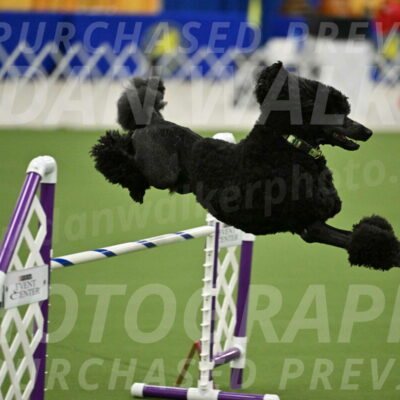 MAS-EX-JWW-24-Inch_3436