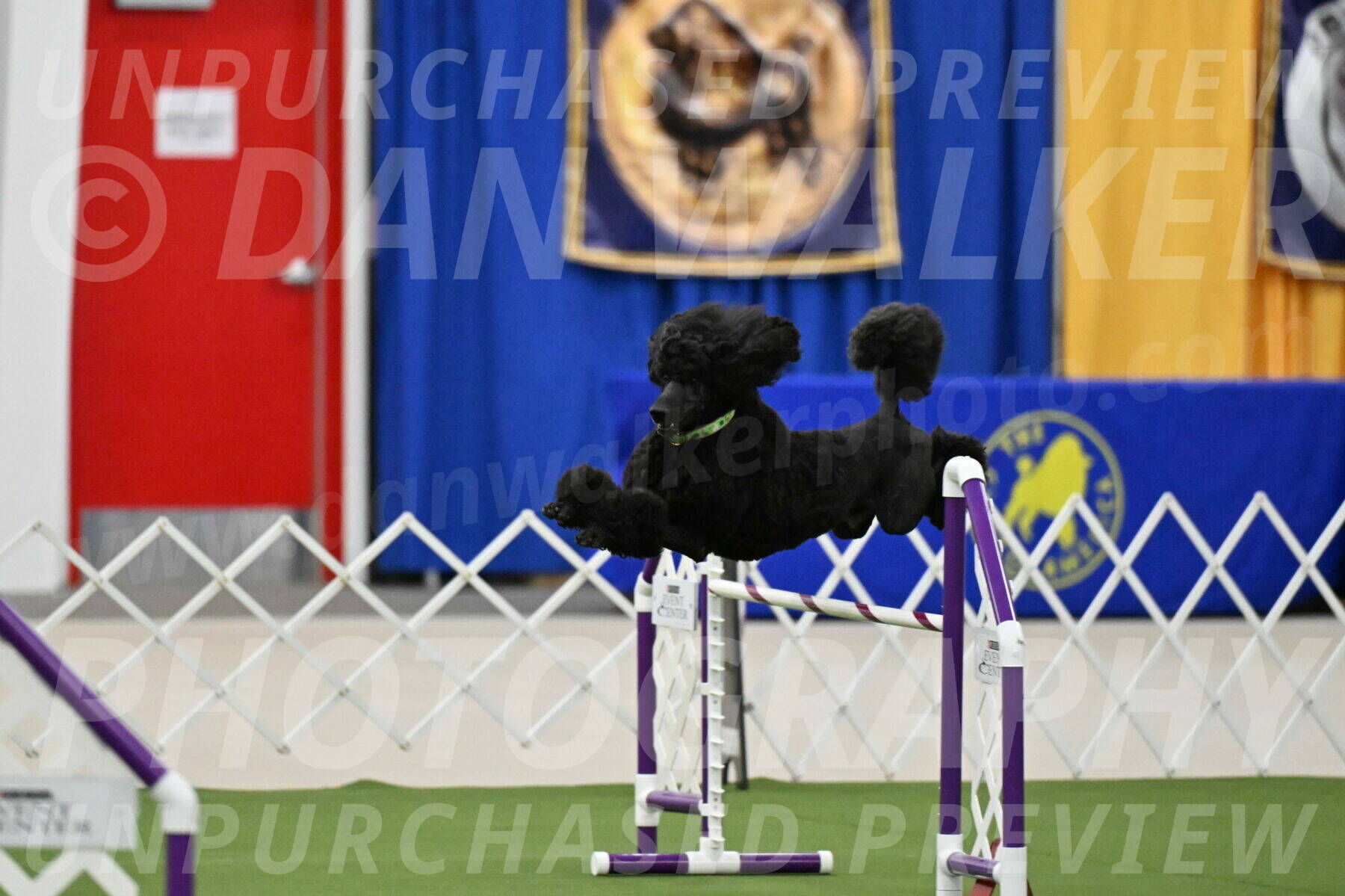 MAS-EX-JWW-24-Inch_3439