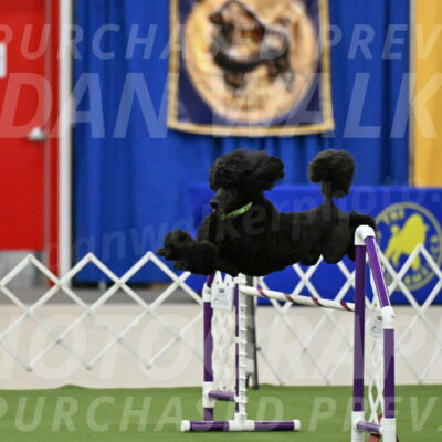 MAS-EX-JWW-24-Inch_3439