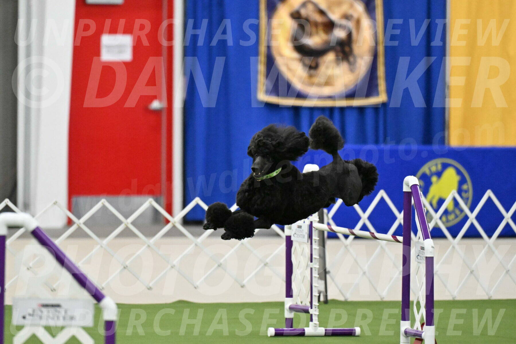 MAS-EX-JWW-24-Inch_3440