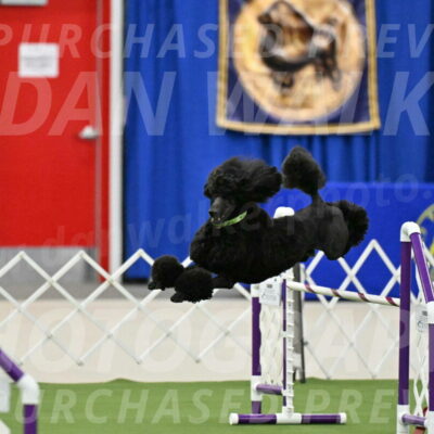 MAS-EX-JWW-24-Inch_3440