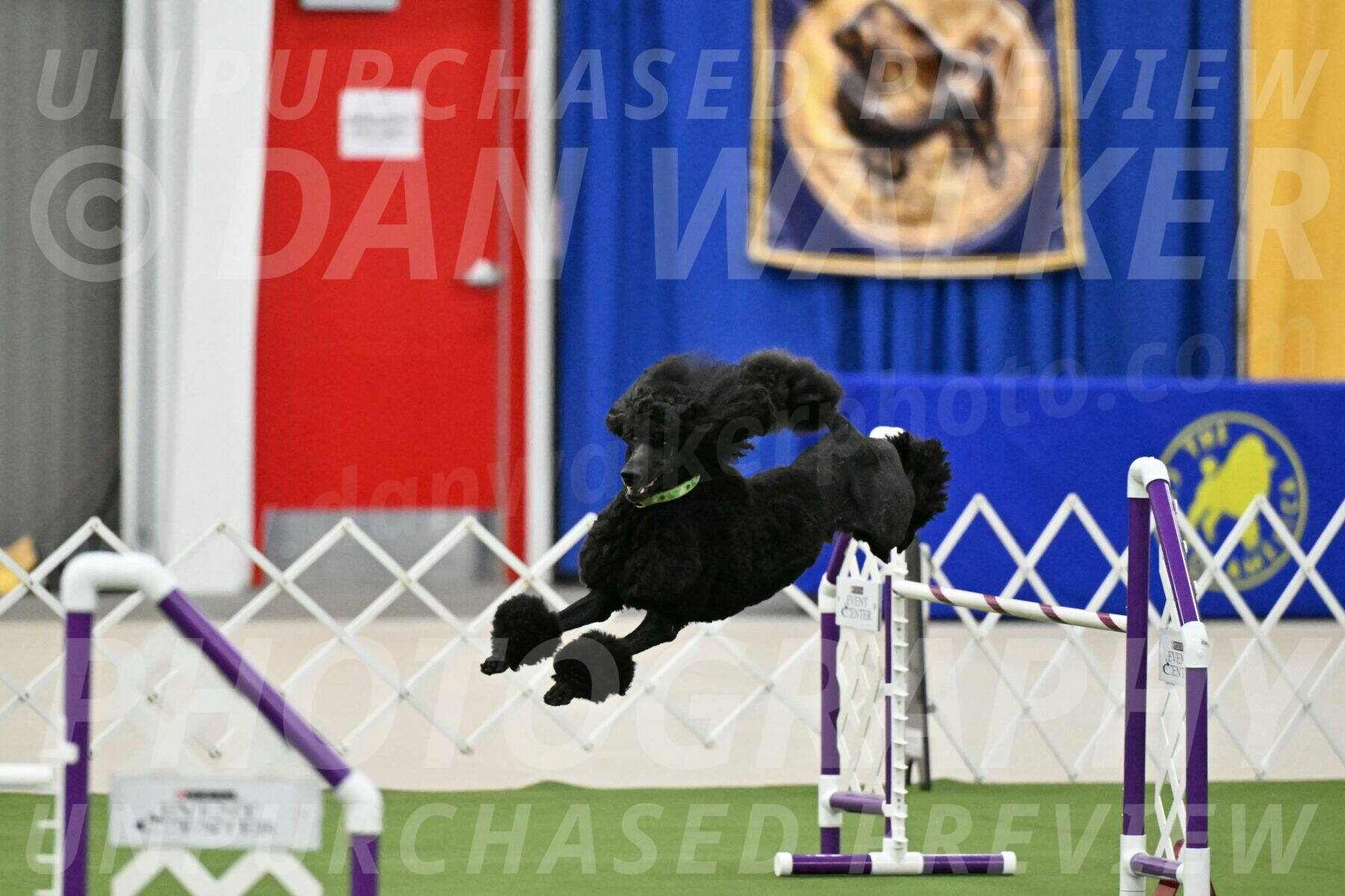 MAS-EX-JWW-24-Inch_3441