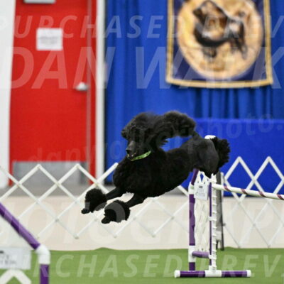 MAS-EX-JWW-24-Inch_3441