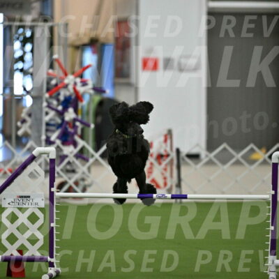 MAS-EX-JWW-24-Inch_3446