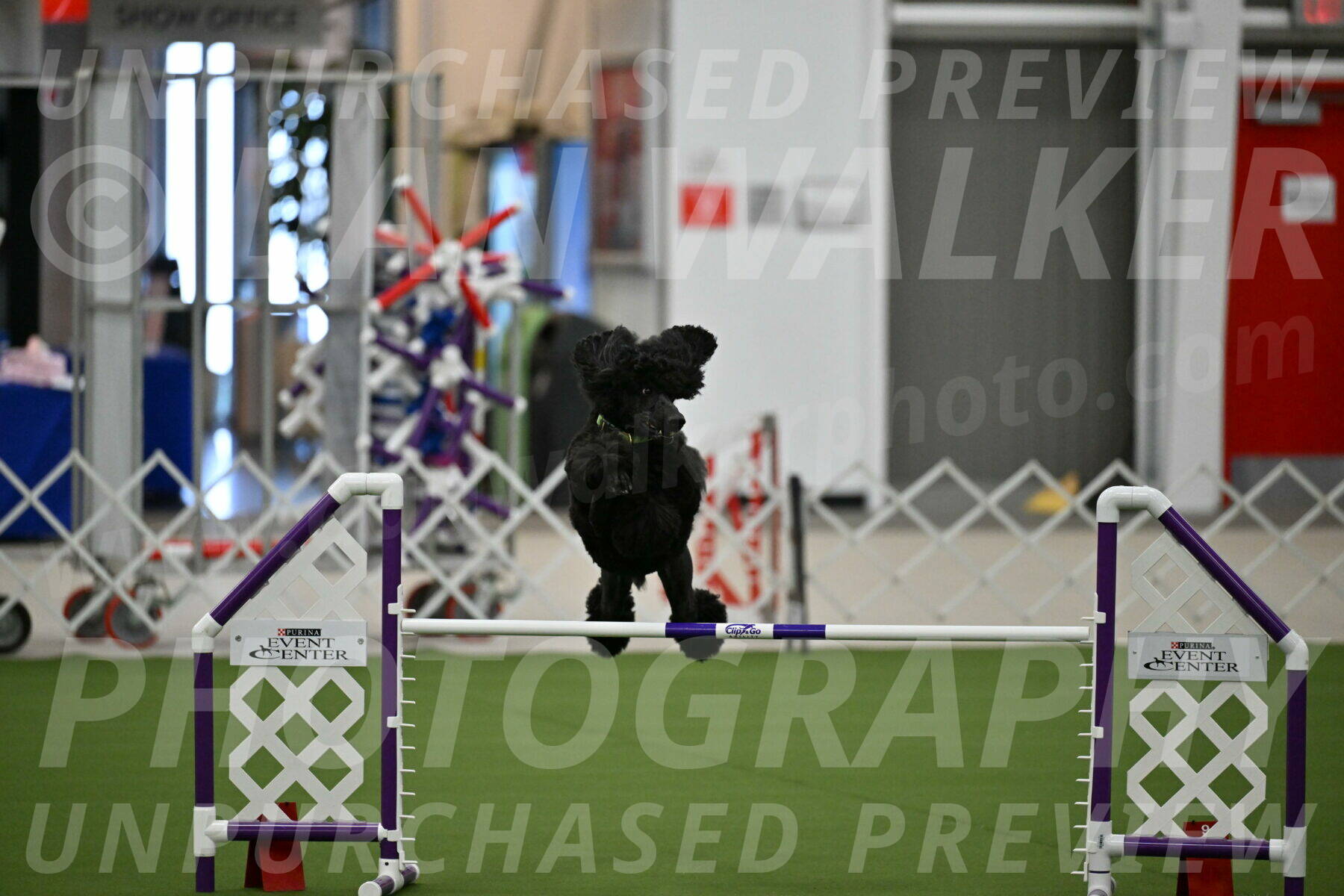 MAS-EX-JWW-24-Inch_3446