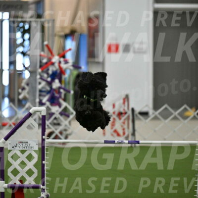 MAS-EX-JWW-24-Inch_3447