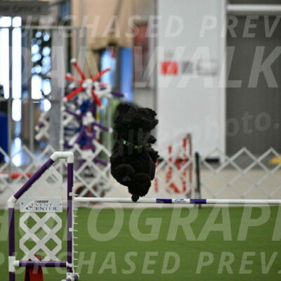 MAS-EX-JWW-24-Inch_3448