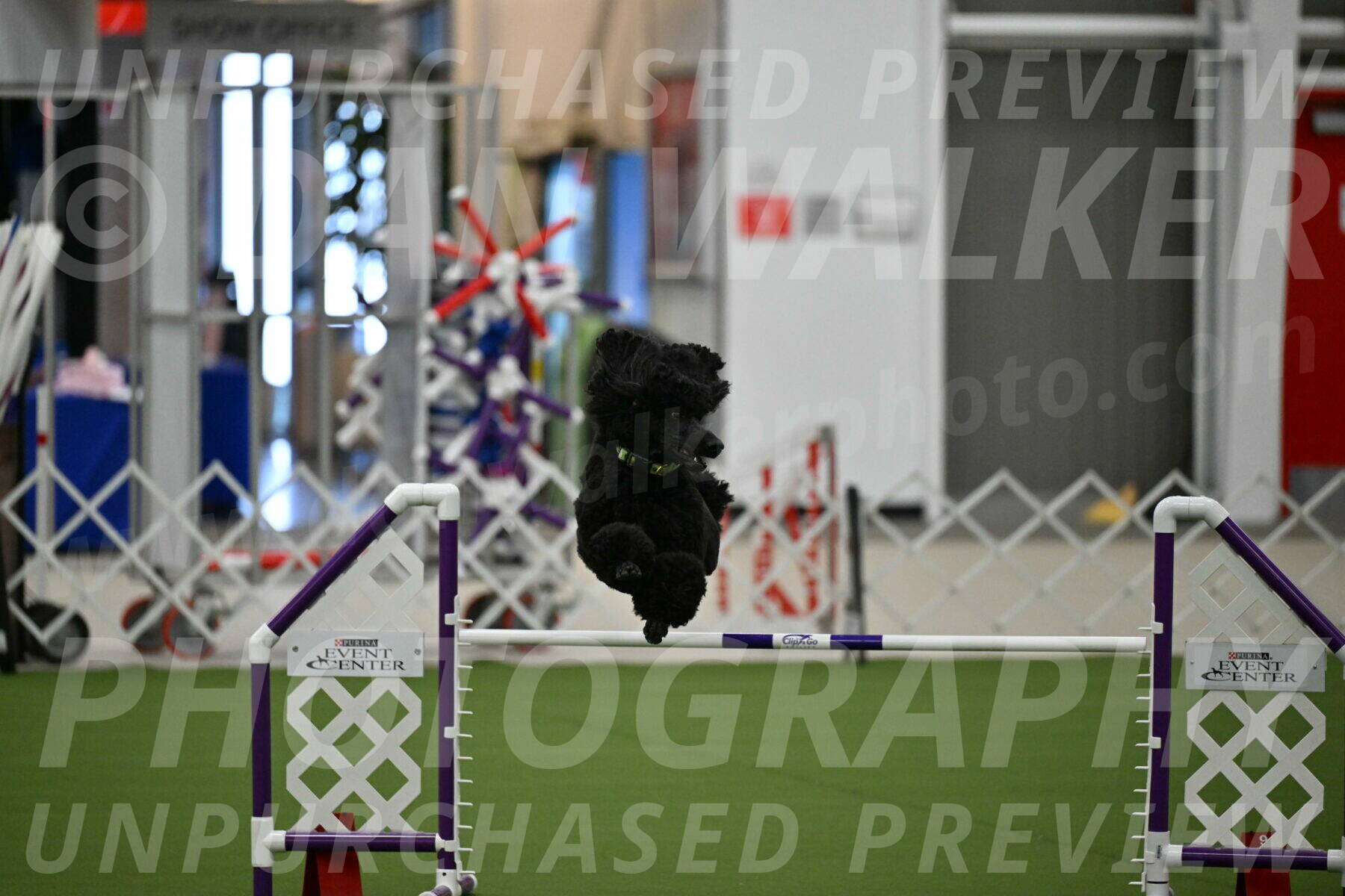 MAS-EX-JWW-24-Inch_3448