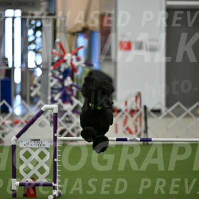 MAS-EX-JWW-24-Inch_3449