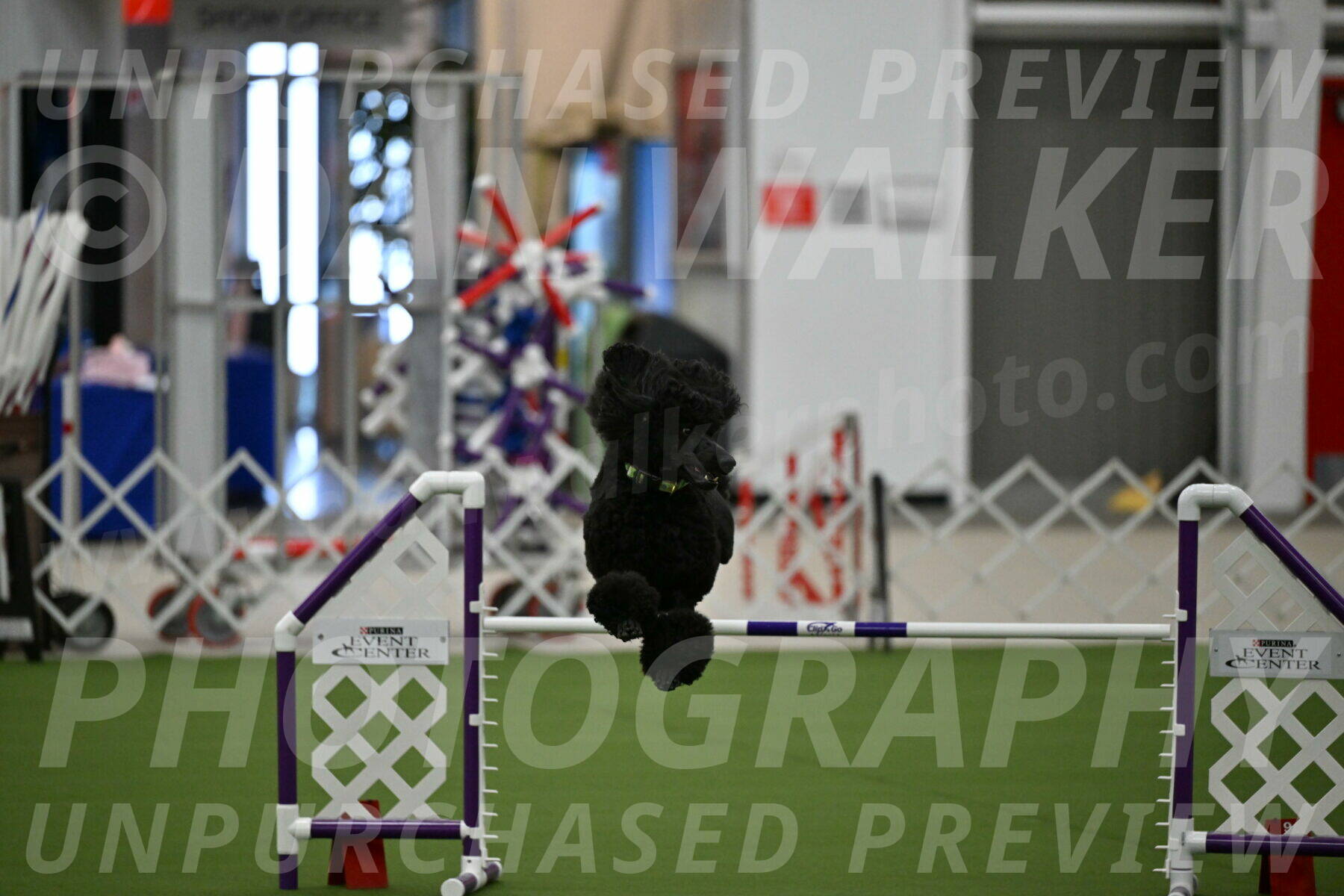 MAS-EX-JWW-24-Inch_3449