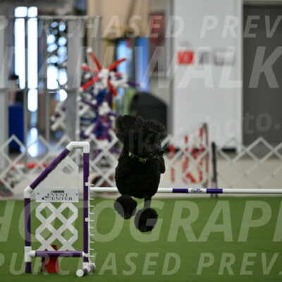 MAS-EX-JWW-24-Inch_3450