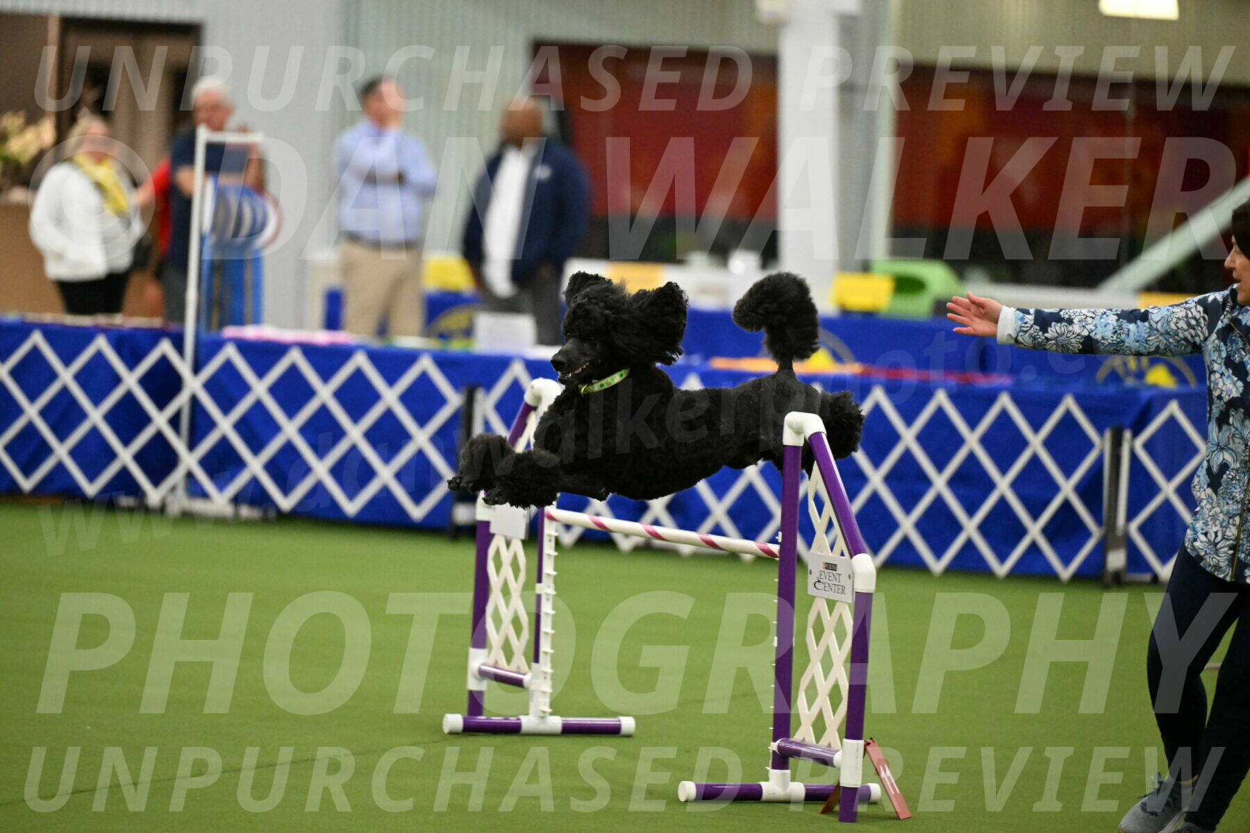 MAS-EX-JWW-24-Inch_3451