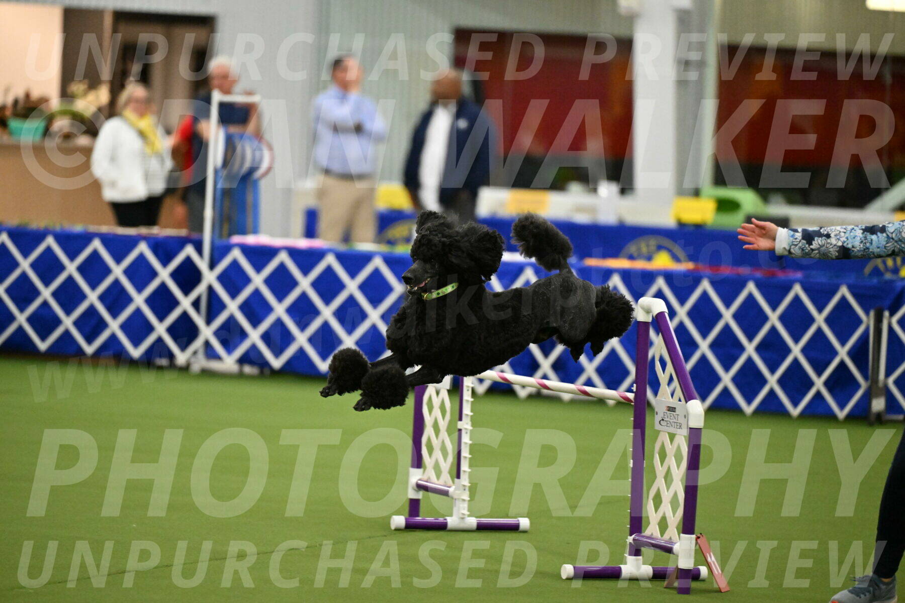 MAS-EX-JWW-24-Inch_3452