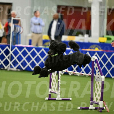 MAS-EX-JWW-24-Inch_3452