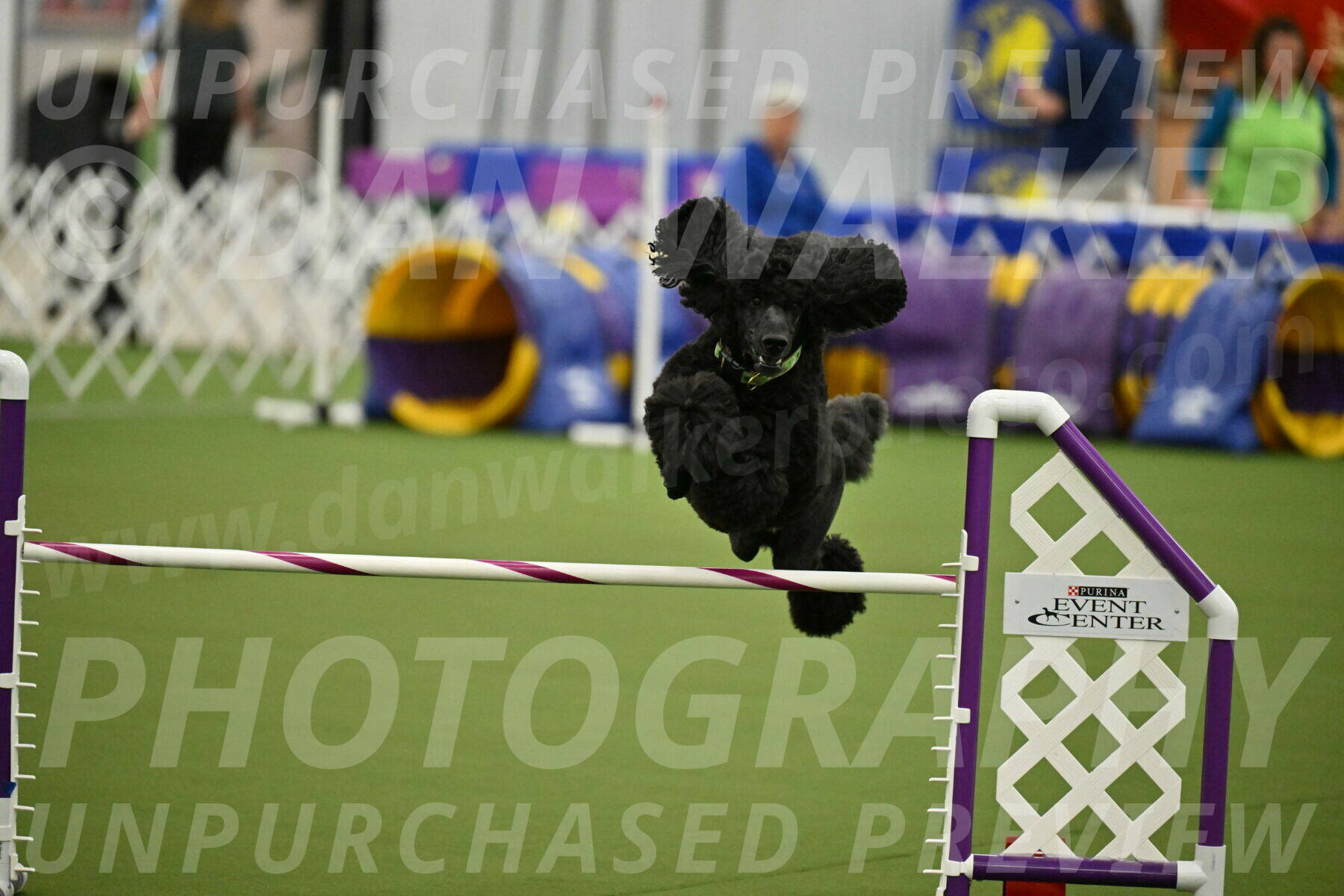 MAS-EX-JWW-24-Inch_3456