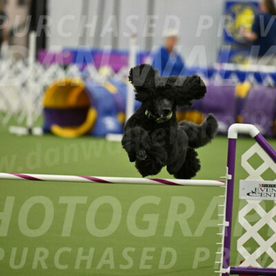 MAS-EX-JWW-24-Inch_3457