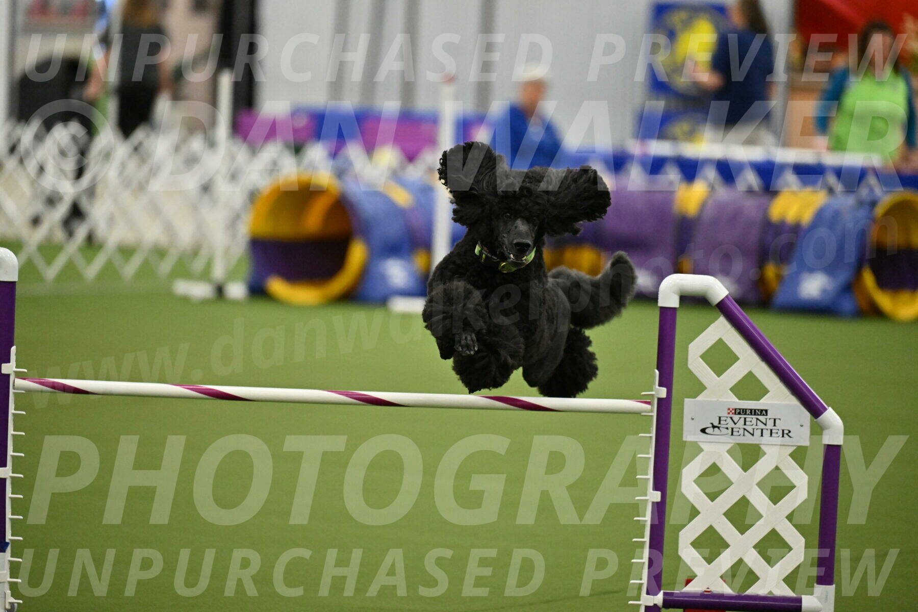 MAS-EX-JWW-24-Inch_3457