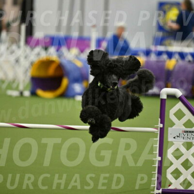 MAS-EX-JWW-24-Inch_3458