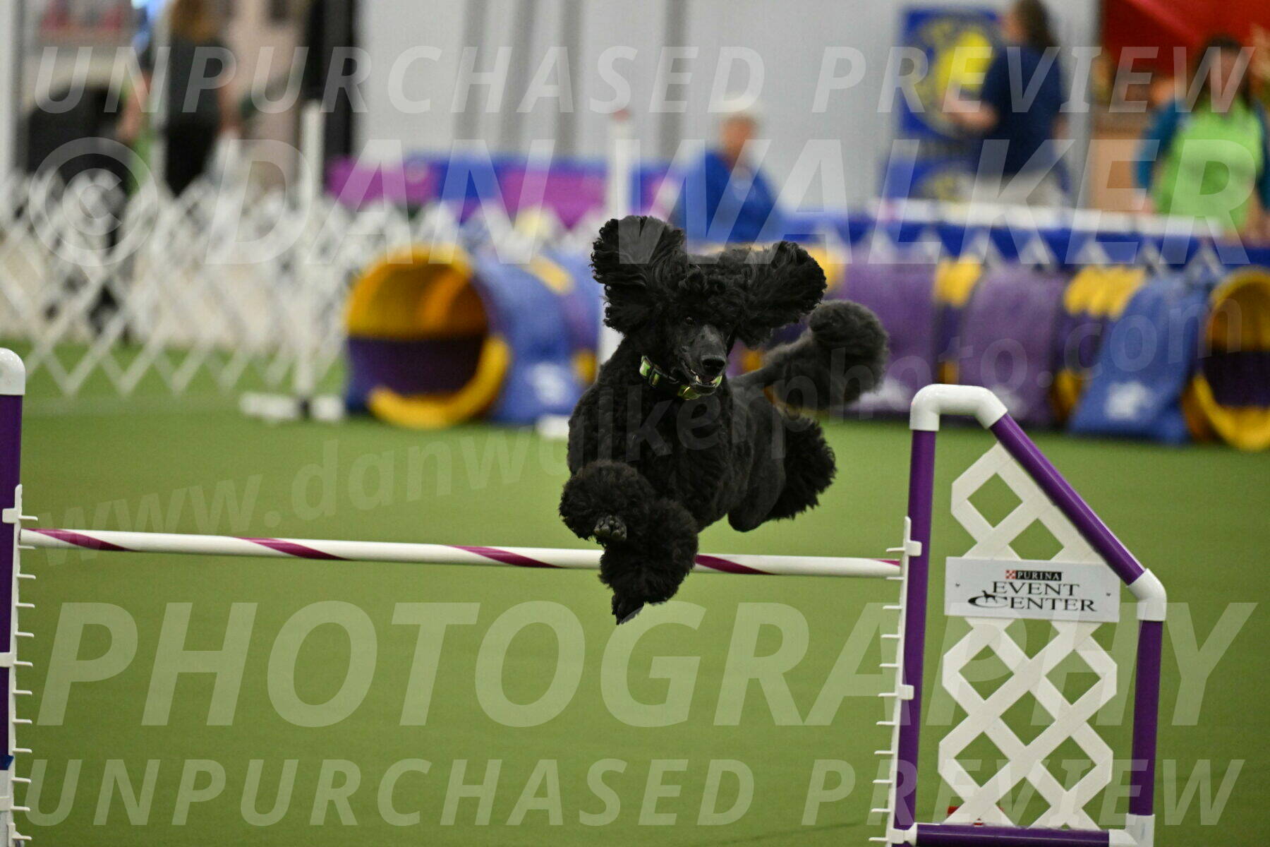 MAS-EX-JWW-24-Inch_3458