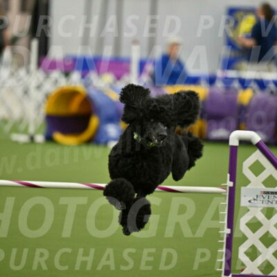 MAS-EX-JWW-24-Inch_3459