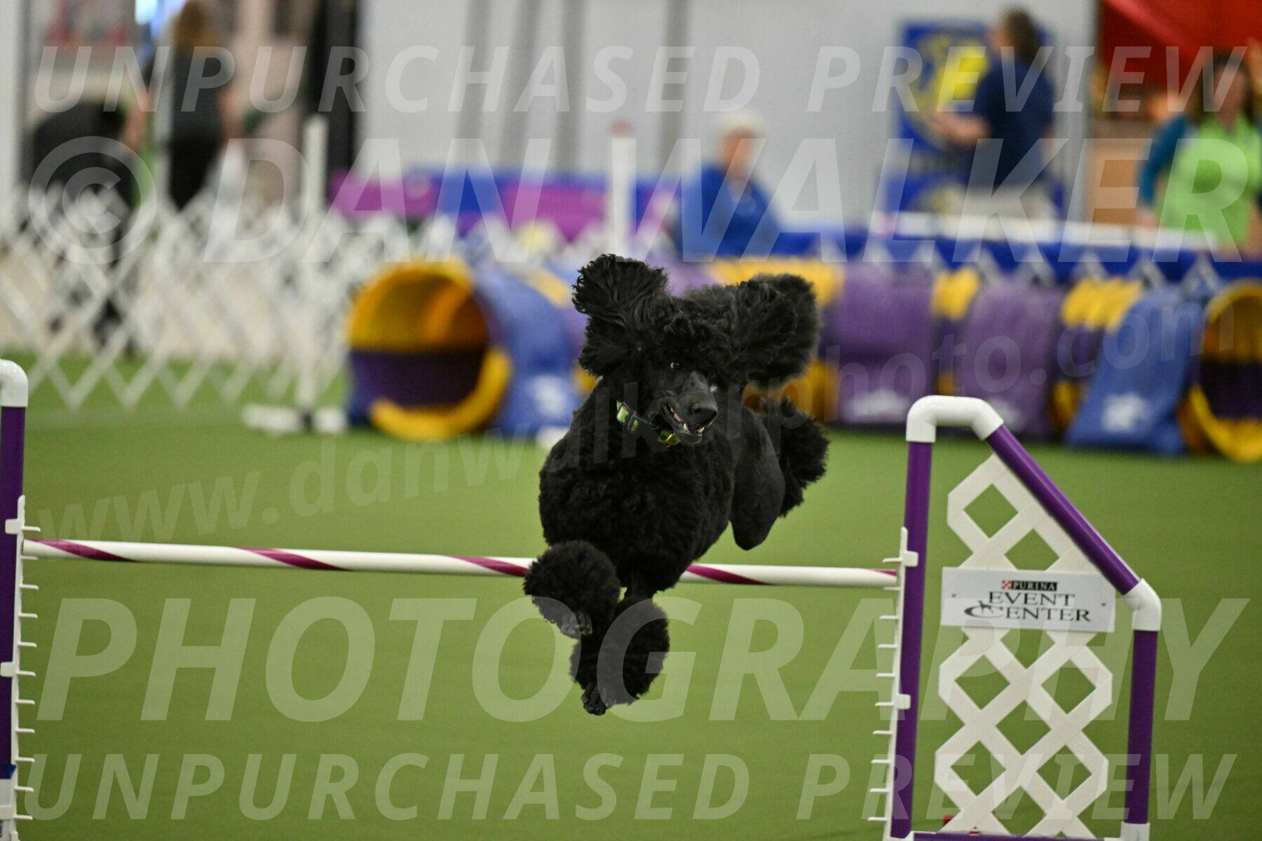 MAS-EX-JWW-24-Inch_3459