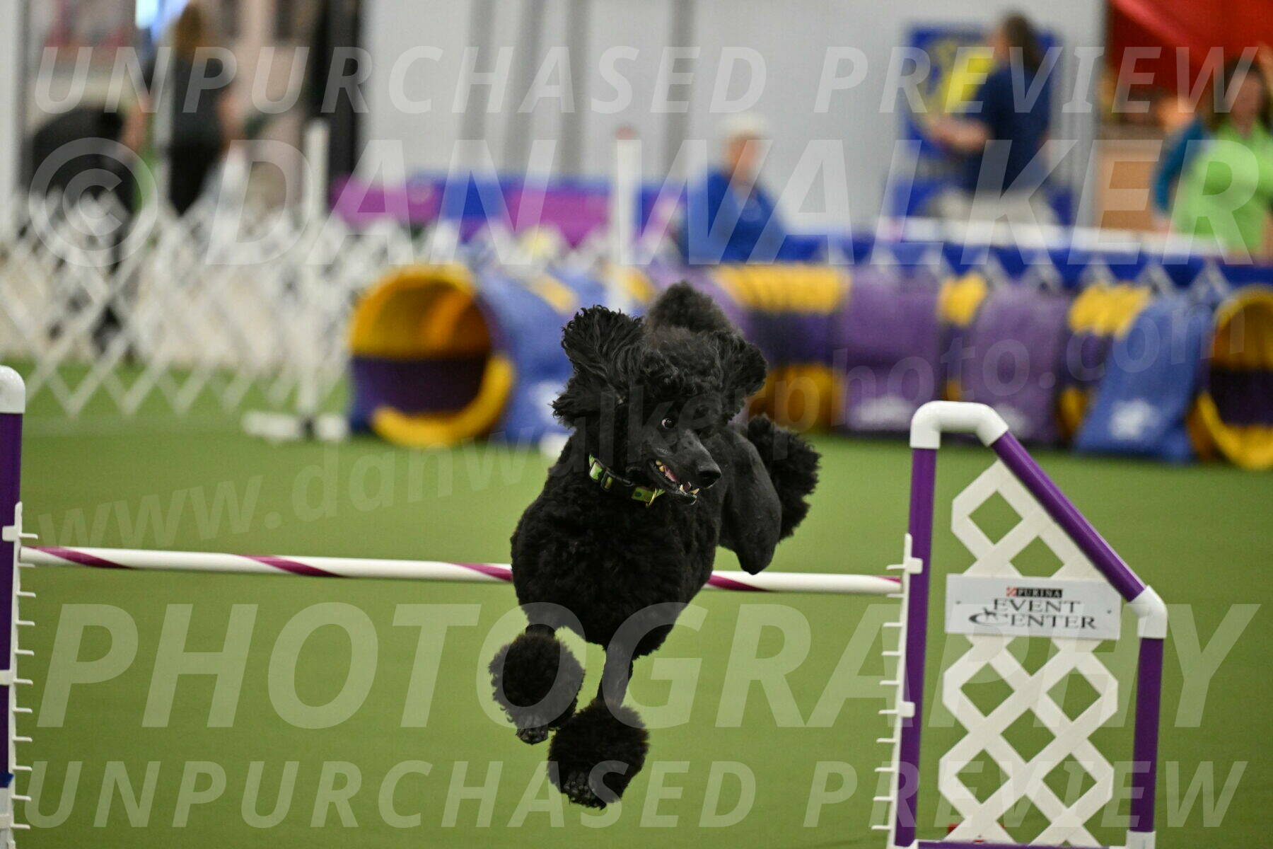 MAS-EX-JWW-24-Inch_3460