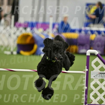 MAS-EX-JWW-24-Inch_3460