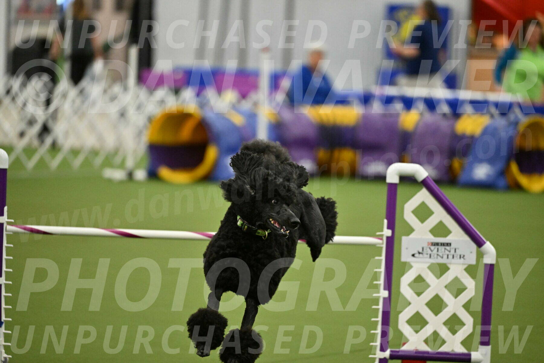 MAS-EX-JWW-24-Inch_3461