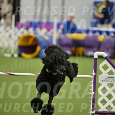 MAS-EX-JWW-24-Inch_3461