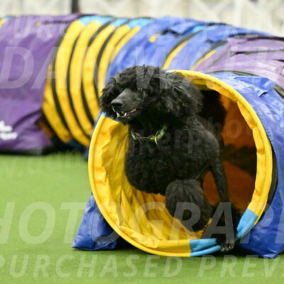 MAS-EX-JWW-24-Inch_3462