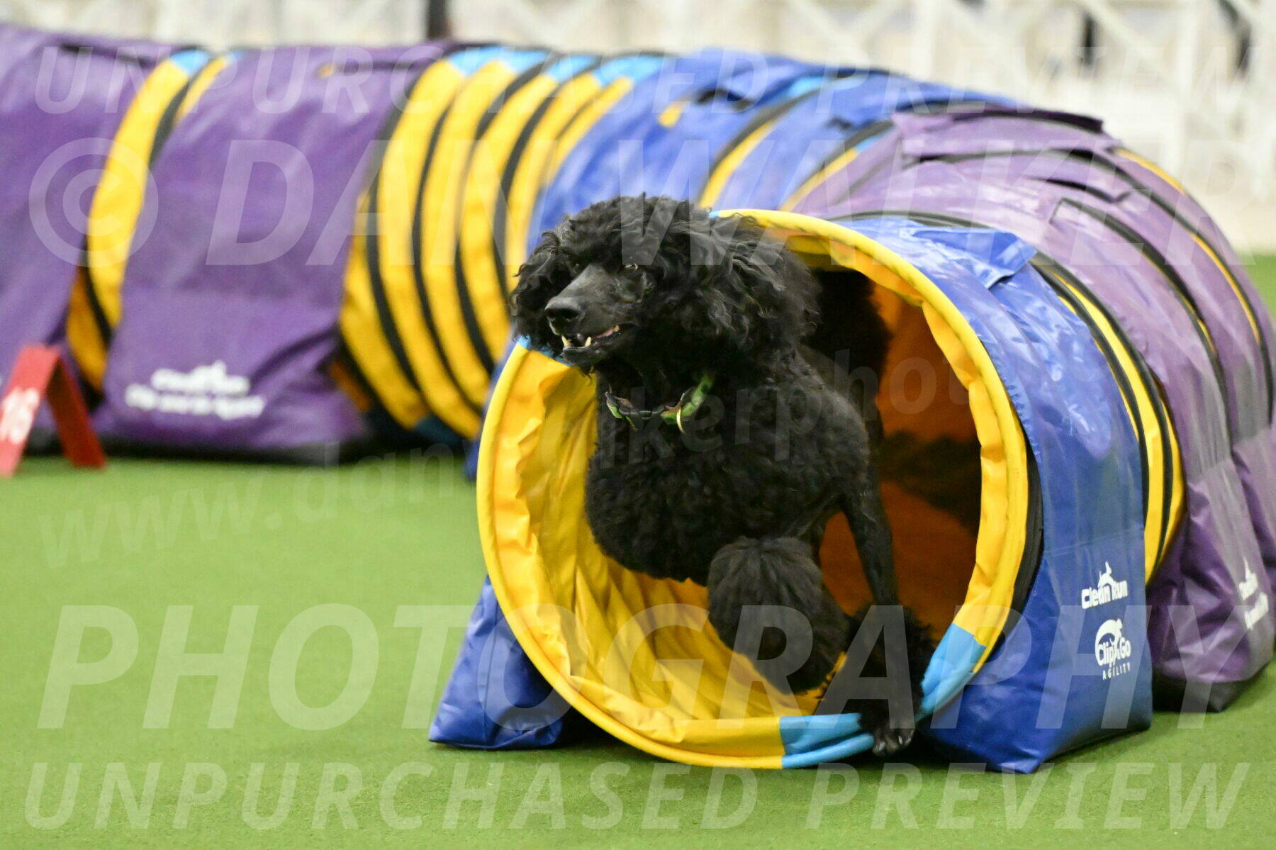 MAS-EX-JWW-24-Inch_3462