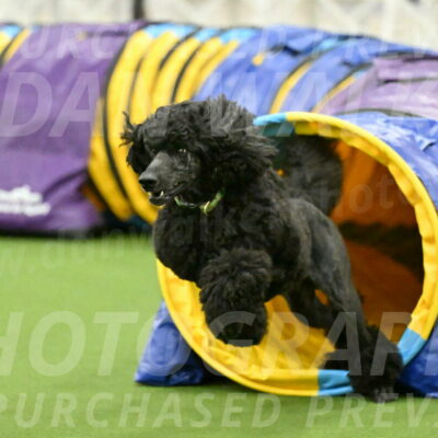 MAS-EX-JWW-24-Inch_3463