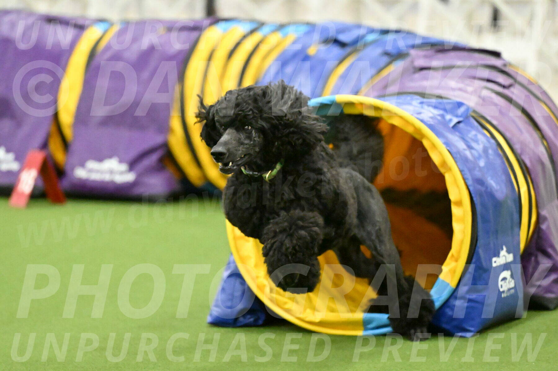 MAS-EX-JWW-24-Inch_3463