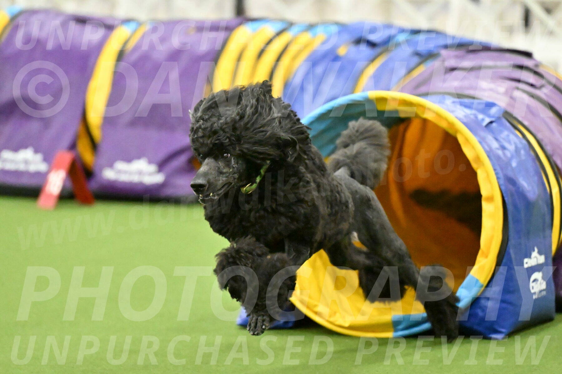 MAS-EX-JWW-24-Inch_3464