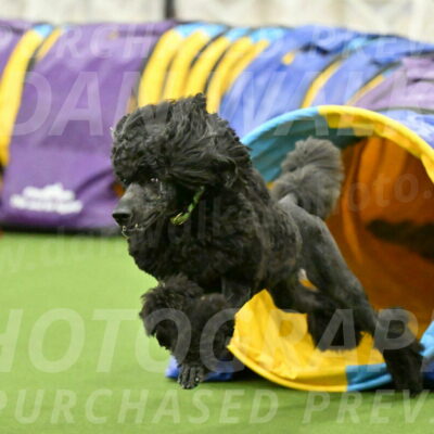 MAS-EX-JWW-24-Inch_3464