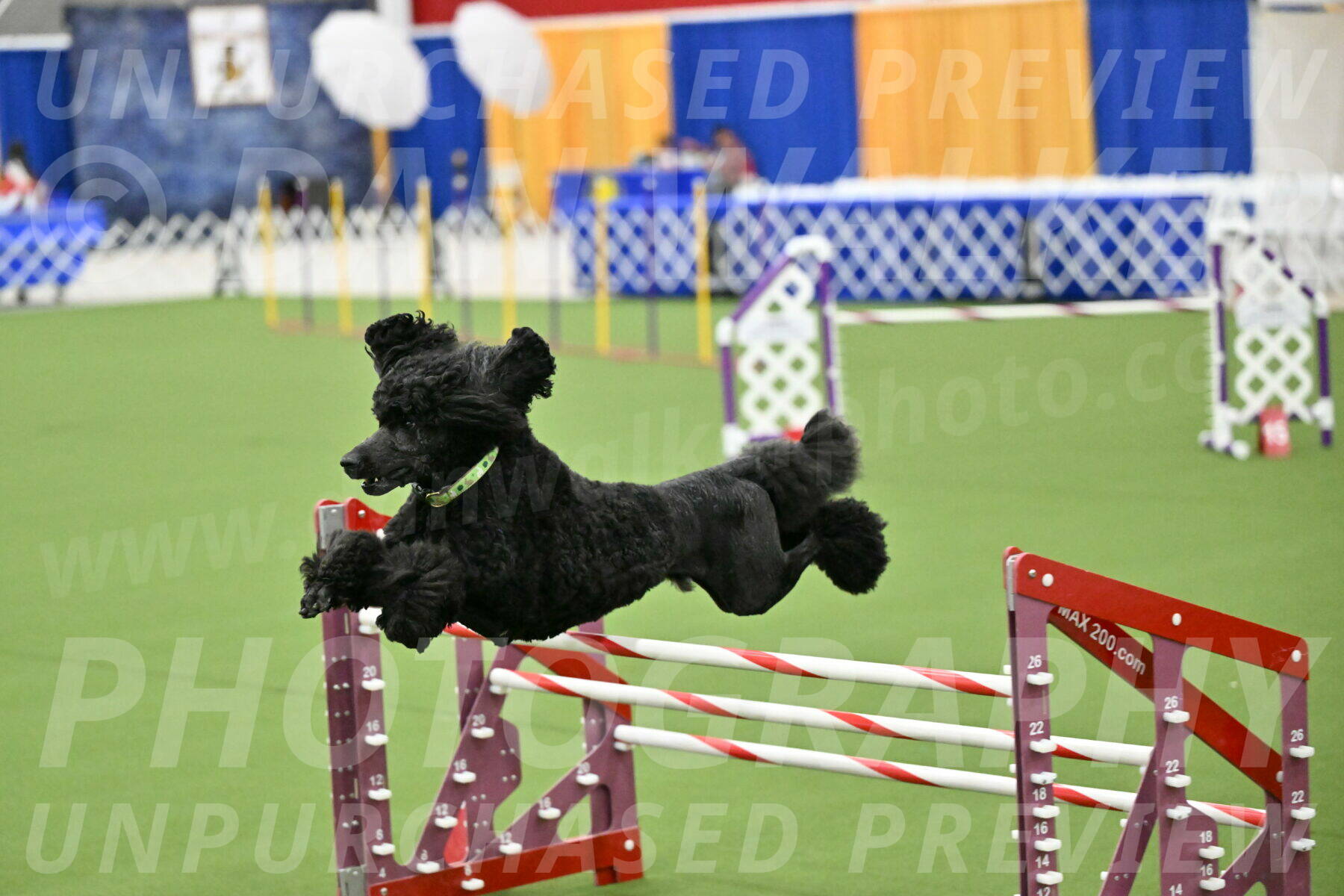 MAS-EX-JWW-24-Inch_3474