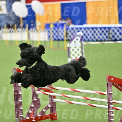 MAS-EX-JWW-24-Inch_3474